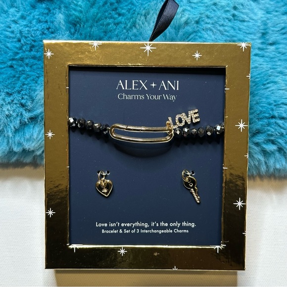 Alex and Ani Jewelry - Alex and Ani Love Interchangeable Charm Stretch Bracelet Gift Set